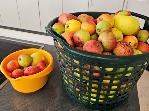 Äpfel von der Streuobstwiese wurden zu süßen Leckereien verarbeitet